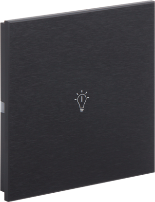 Picture of Rosa Metal Switch Single Anthracite Status Icon