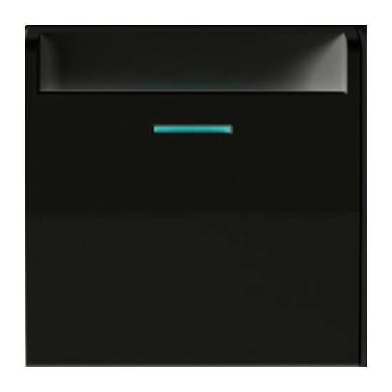 Picture of Key Card Holder (Energy Saver) - Black (Without Frame)